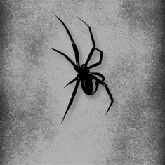 Αυτοκόλλητο με μοτίβο αράχνης για αυτοκίνητο